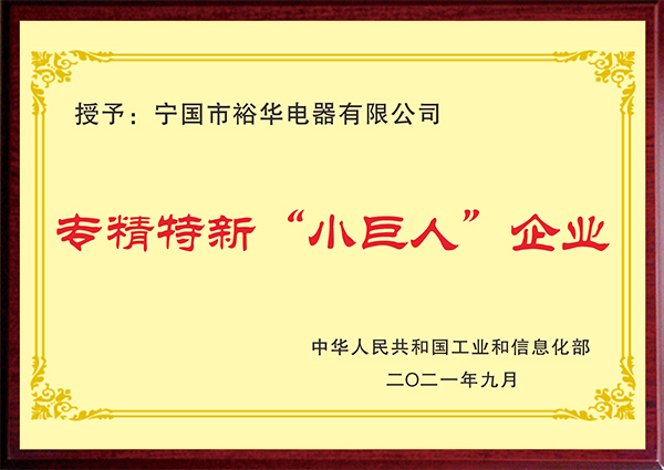 國家級(jí)專精特新“小巨人”企業(yè)
