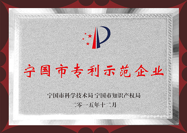 寧國市專利示范企業(yè)