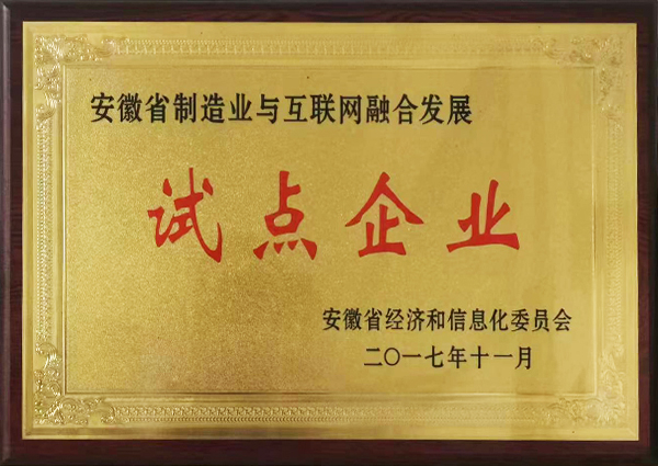 制造業(yè)與互聯(lián)網(wǎng)試點(diǎn)企業(yè)